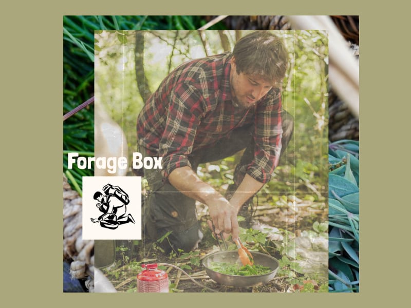 Forage Box Competition